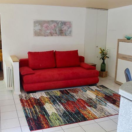 Apartament Casa Ortensia Gambarogno Zewnętrze zdjęcie