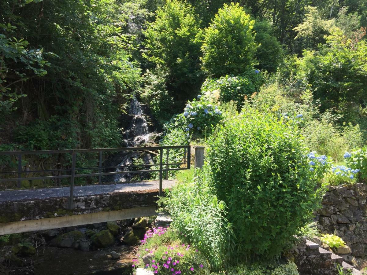 Apartament Casa Ortensia Gambarogno Zewnętrze zdjęcie