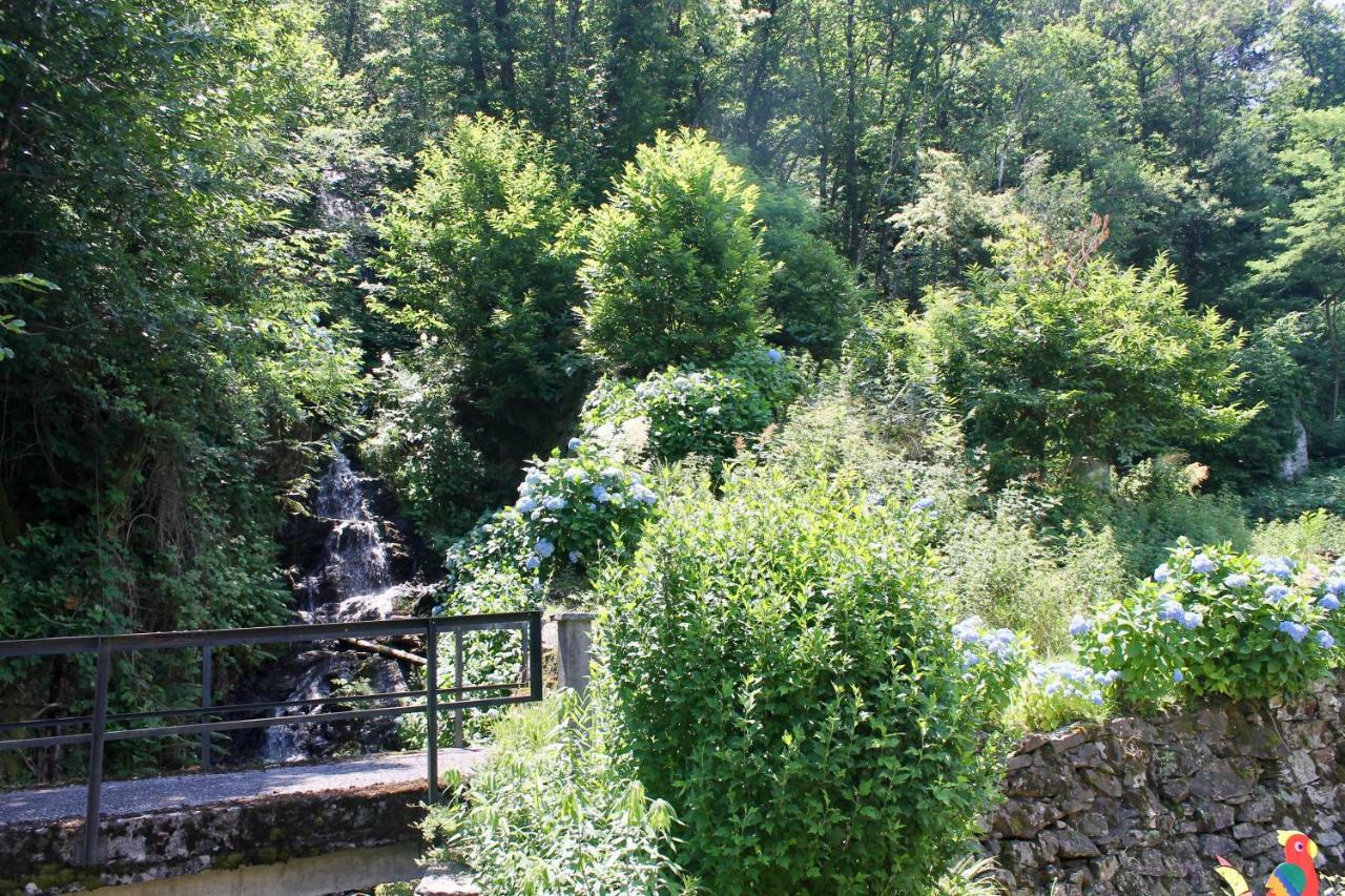Apartament Casa Ortensia Gambarogno Zewnętrze zdjęcie