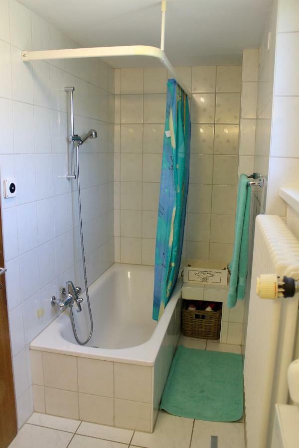 Apartament Casa Ortensia Gambarogno Zewnętrze zdjęcie